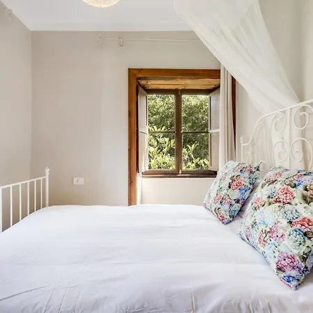 Caldera De Taburiente Rural